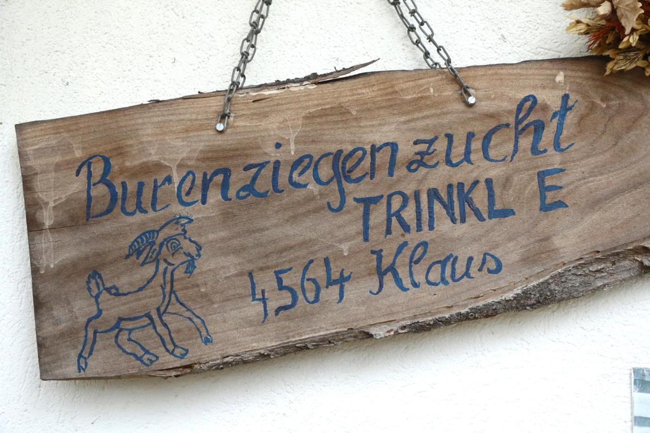 Hof Zur Steinwaend Bed & Breakfast