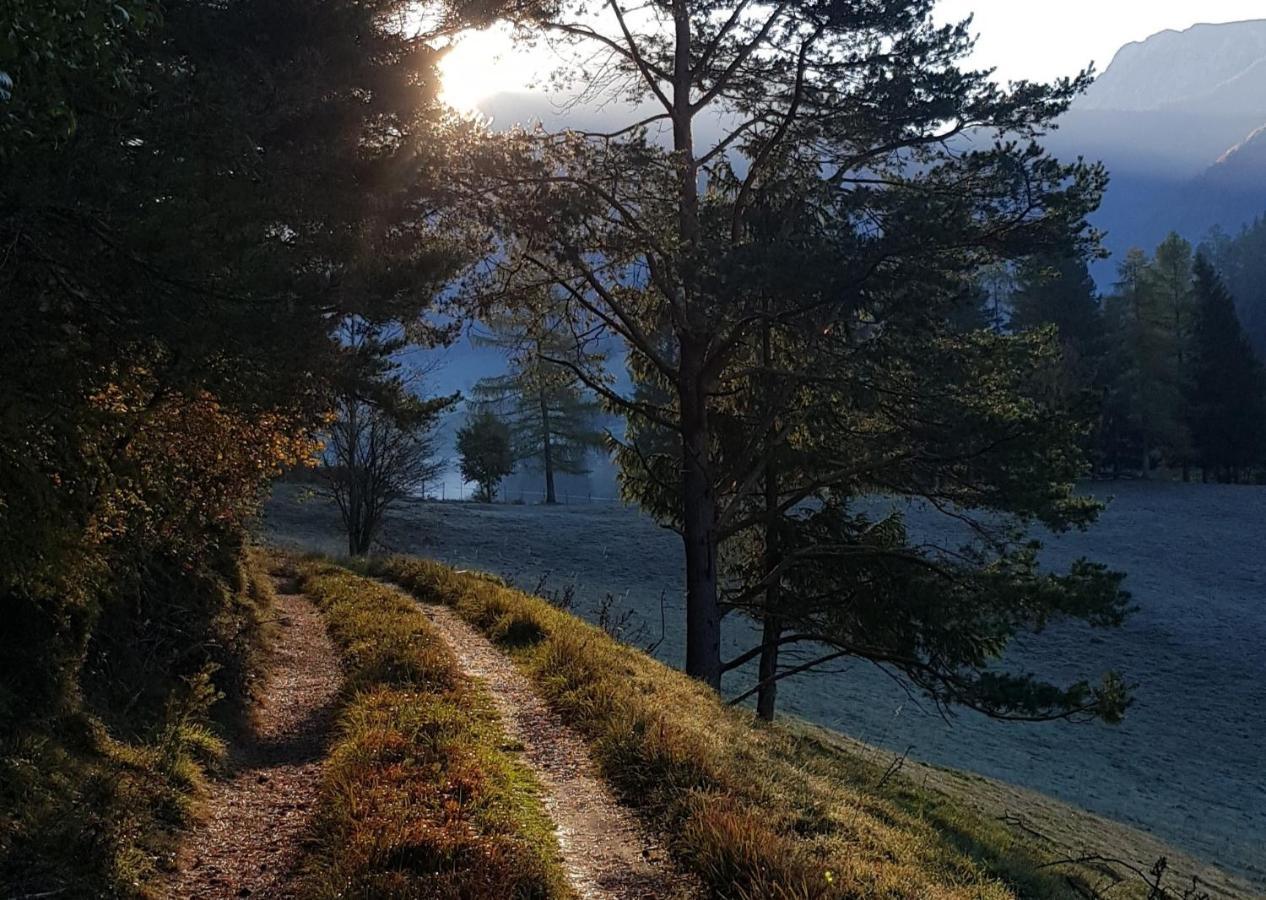 Bed & Breakfast Hof Zur Steinwaend Micheldorf in Oberösterreich